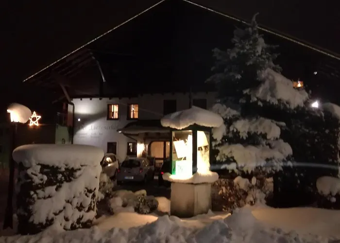 ホテル Liezenerhof 3*